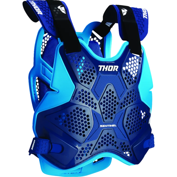 Thor Sentinel Pro Blue Armour - Image 2